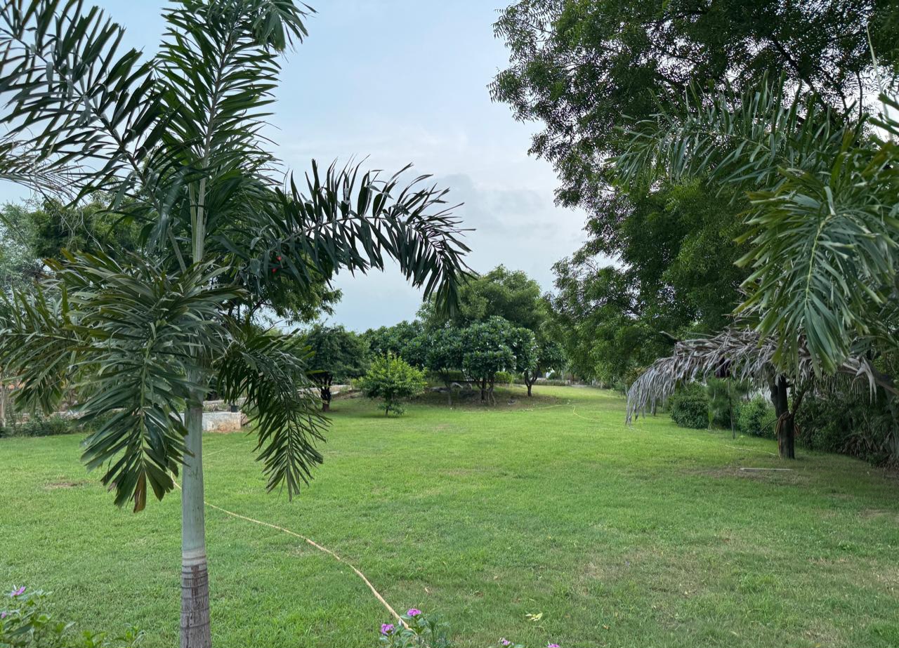 ANANDVANAM outdoor space
